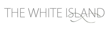 logo only